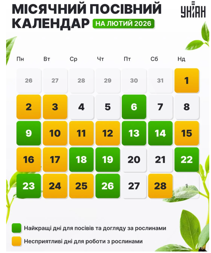 Посівний календар на лютий 2026